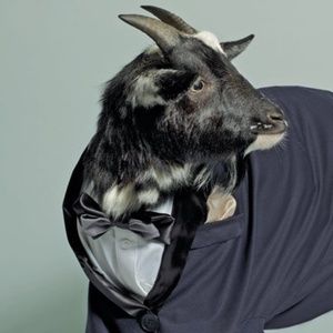 Meet your Posher, Michael